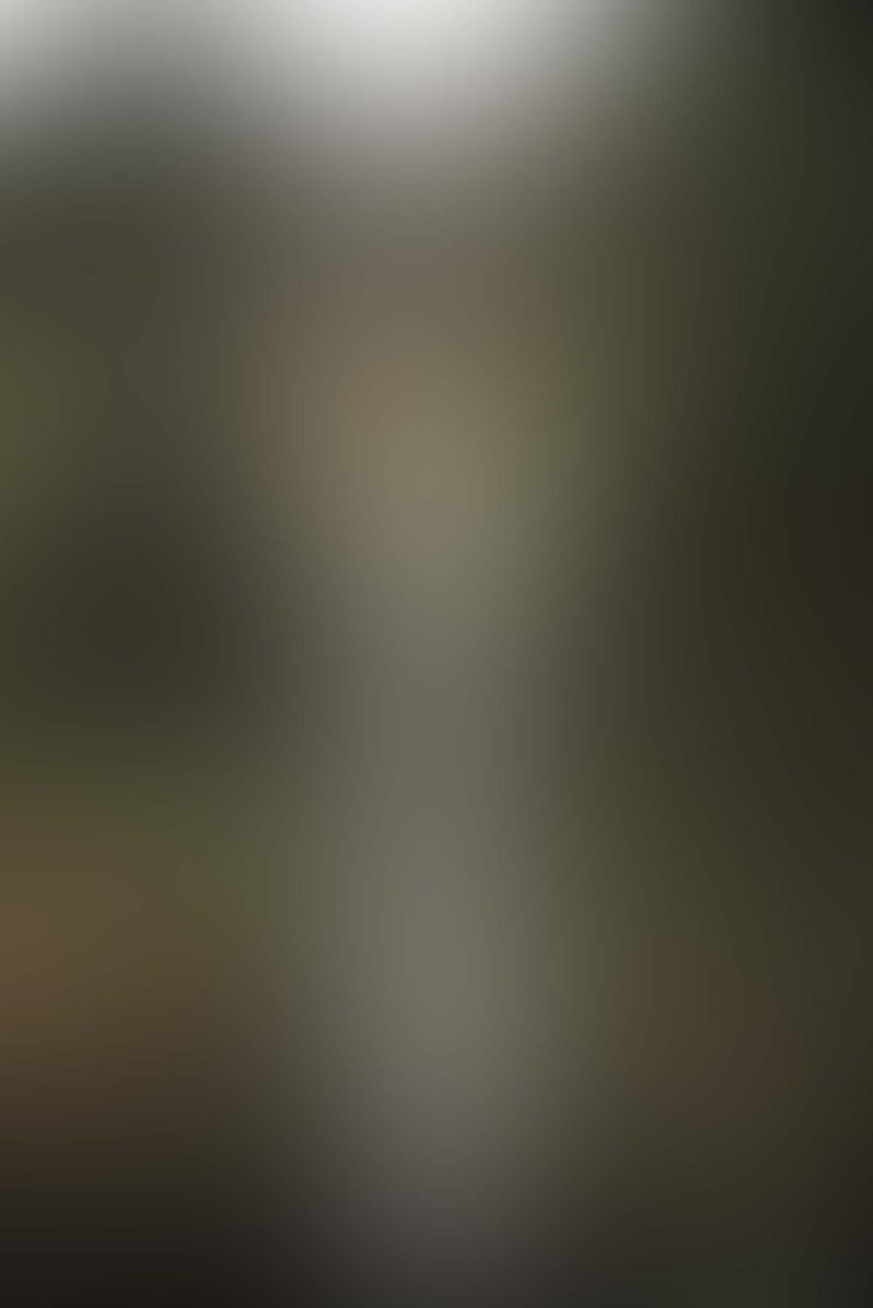 photo-1472073834672-adb08feda350