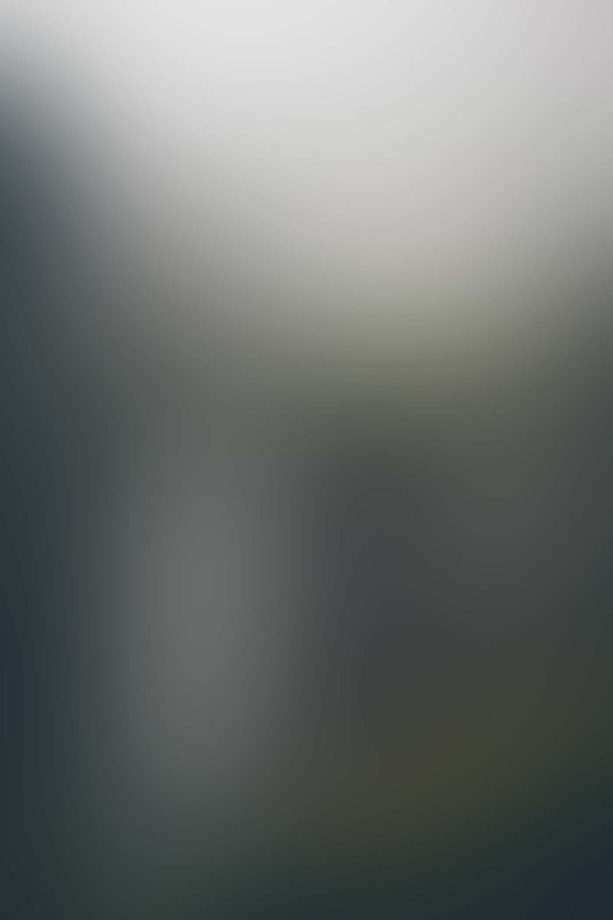 photo-1474988099298-e9ec75bc1d70