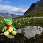 2007 Sommertour mit Loon (Jan)